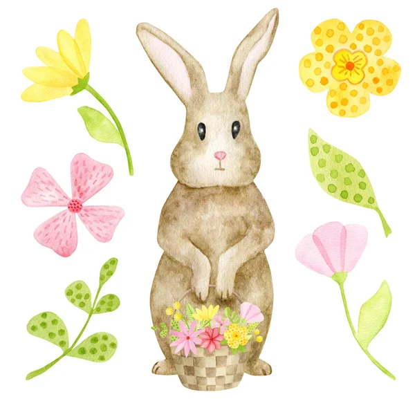 Watercolor spring rabbit illustration. Hand painted little brown Easter bunny with floral basket isolated on white background. Pink and yellow flowers and leaves set. Cute animal clipart