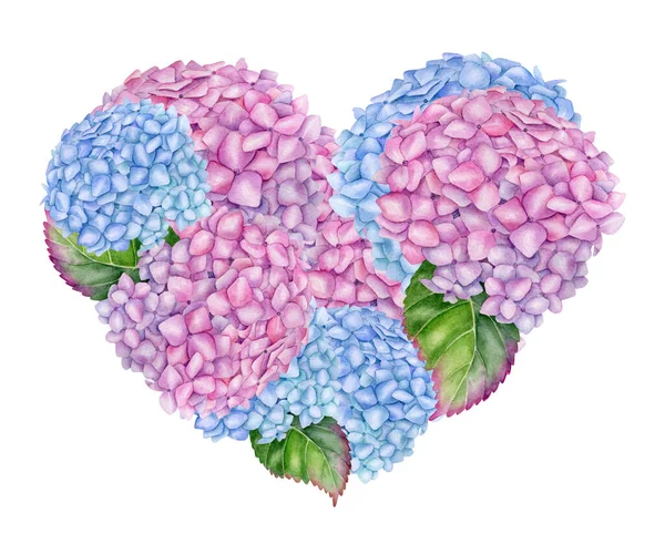 Watercolor Pink Floral Heart Hand Painted Romantic Floral Arrangement Hydrangea — Foto Stock