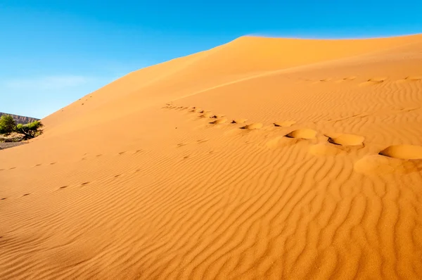 Foot Steps — Stock Photo, Image