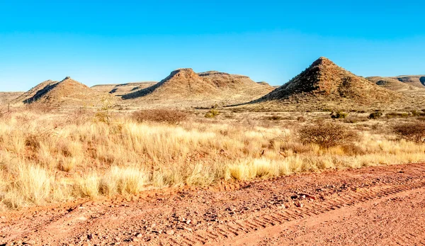 W Namibii natura — Zdjęcie stockowe