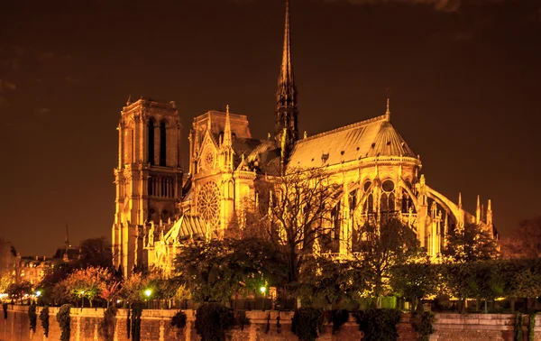 Notre Dame in Paris — Stock Photo, Image