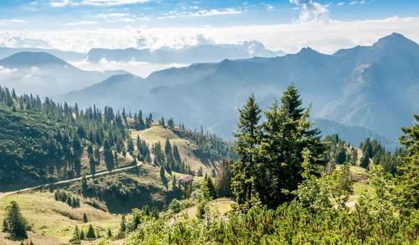 Vista de naturaleza —  Fotos de Stock