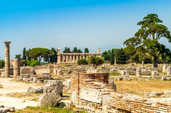 Ruinas en Paestum —  Fotos de Stock