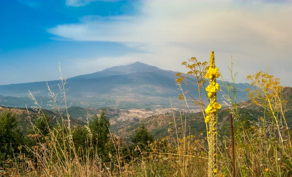 Vista no vulcão Etna — Fotografia de Stock
