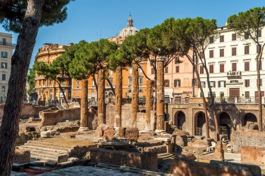 alan sacra largo di torre argentina