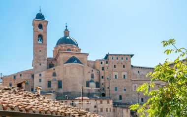 Urbino