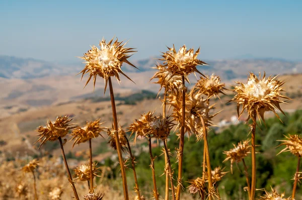 Fin del verano — Foto de Stock