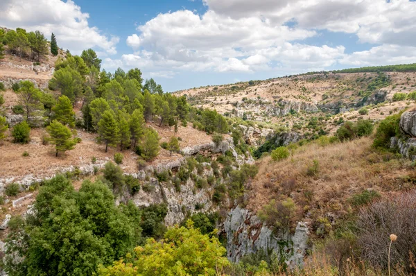 Natura Sicilia — Foto Stock