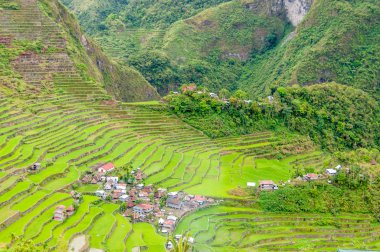 banaue teraslama alanları