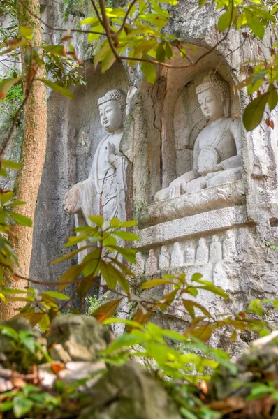 Méditation dans la nature — Photo