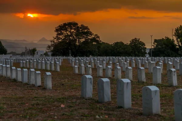 Cimetière militaire — Photo