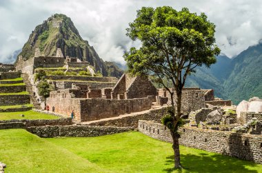 Machu Picchu