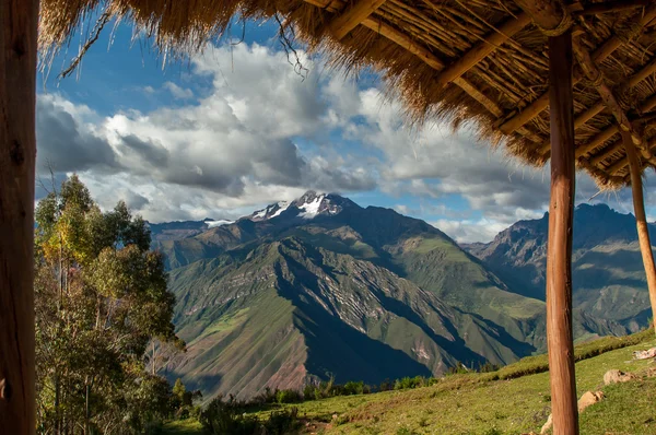 Natura w peru — Zdjęcie stockowe