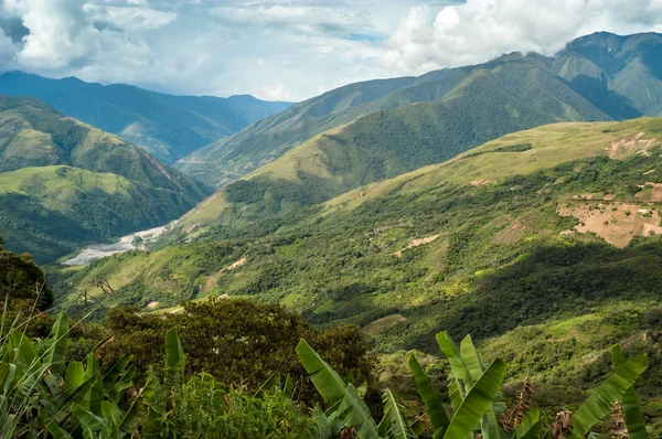 Montañas Coroico —  Fotos de Stock