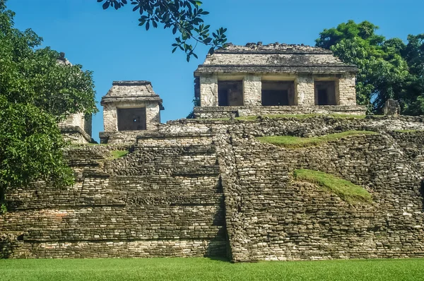 Руїни в місті Palenque — стокове фото