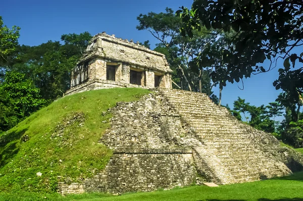 Ruiny w palenque — Zdjęcie stockowe