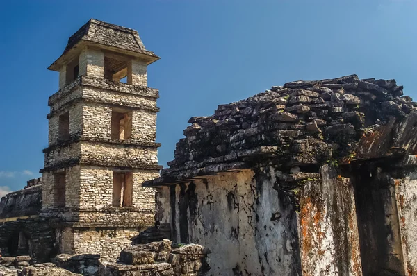 Rozhledna v starověké město palenque — Stock fotografie