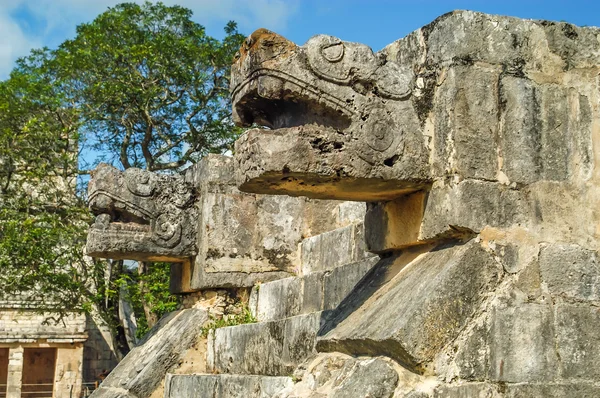 Maya decoratie — Stockfoto