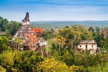 Tikal Temple clipart