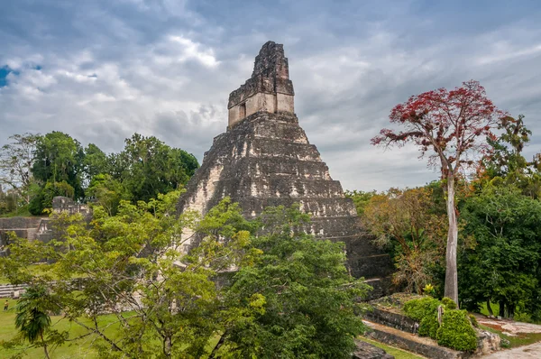 Tikal Nemzeti Park — Stock Fotó