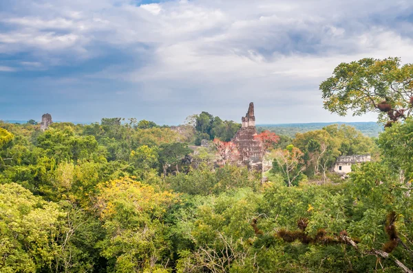 Temple in The Jungle — Stock Photo, Image