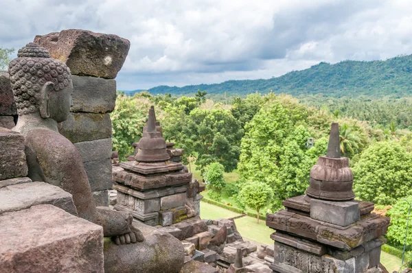 Meditation in Nature — Stock Photo, Image