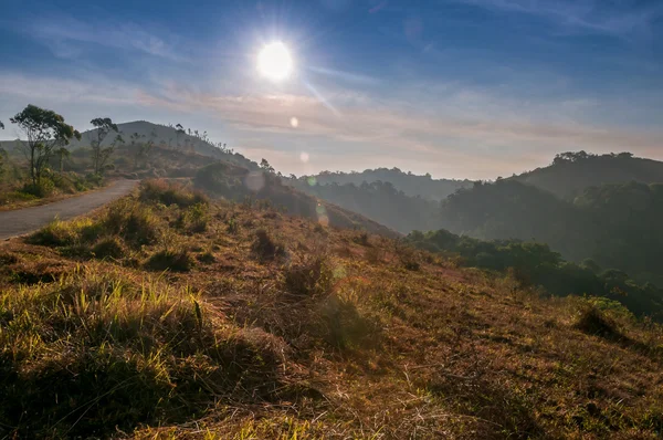 Morgon naturen i periyar — Stockfoto