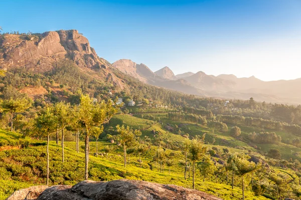 У місті Munnar природи — стокове фото