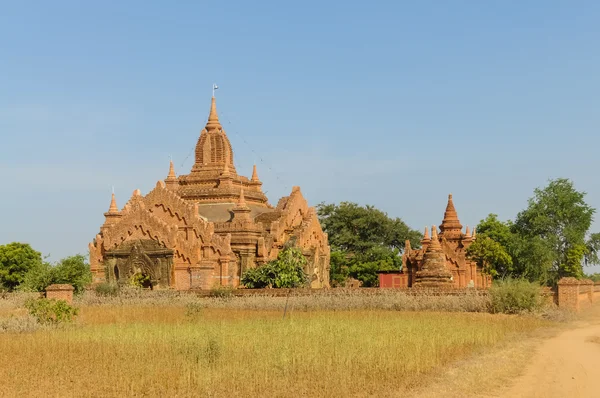 Nature with Pagodas — Stock Photo, Image