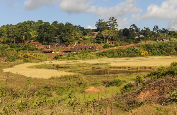 Reisfelder in Burma — Stockfoto