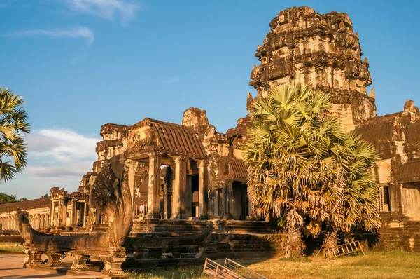 Ruiny v angkor wat — Stock fotografie