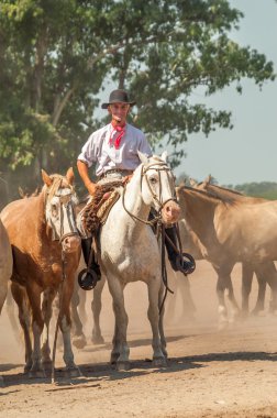Gaucho.