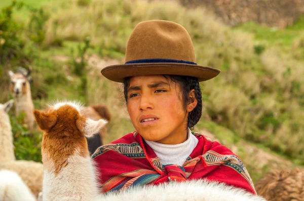 Pastora peruana com Lama — Fotografia de Stock