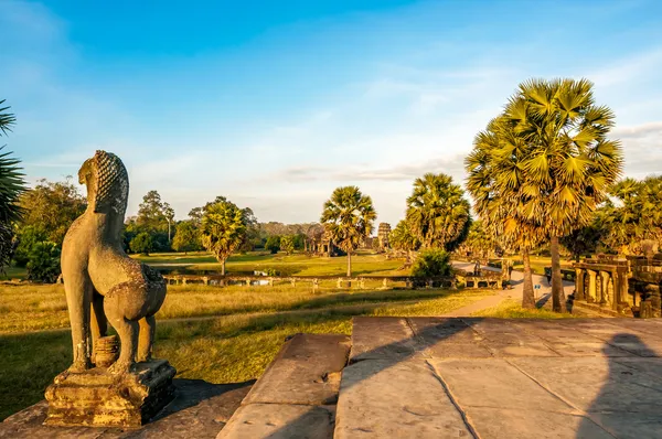 Утро в Ангкор-Вате — стоковое фото