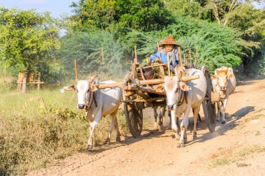 trafik yolları myanmar
