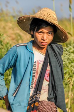 Genç Çoban çocuk inekleri