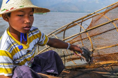 Küçük balıkçı.