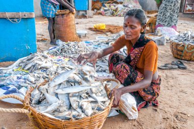 Balık ile çalışan kadın