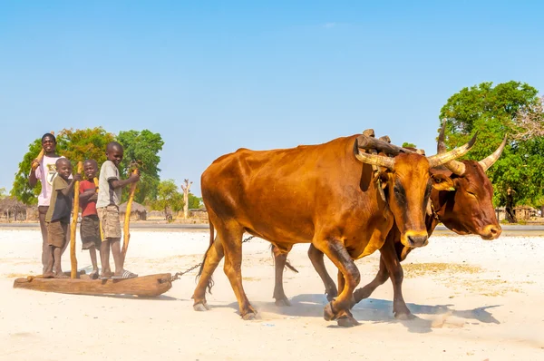 Kavango-Kinder in Namibia — Stockfoto