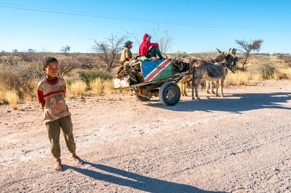 On The Road in Namibia — Stock Photo, Image