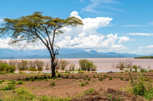 Lago Abaya — Fotografia de Stock