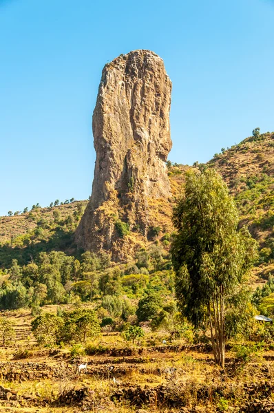 Etiopiska landsbygden — Stockfoto