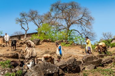 Mavi Nil havzasından insanlar satışa çıkıyor .