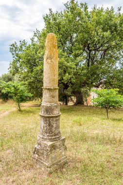 apollonia Dikilitaş