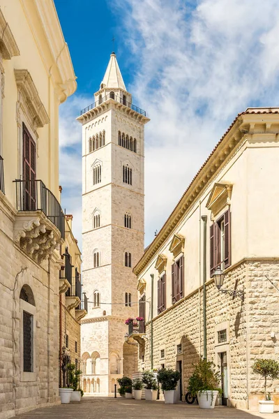 Vista Campanario Catedral San Nicolás Las Calles Trani Italia — Foto de Stock