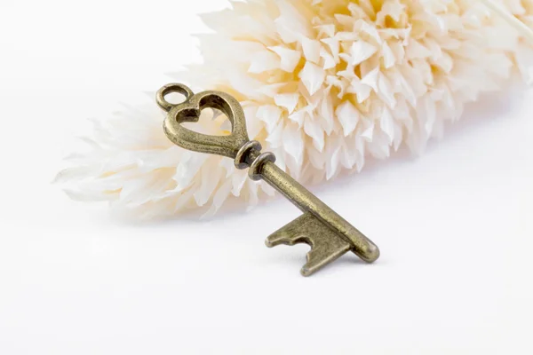 Key  in the shape of a heart — Stock Photo, Image