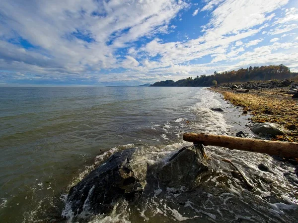 Madera Deriva Rocas Largo Orilla Island View Beach Vancouver Island — Foto de Stock