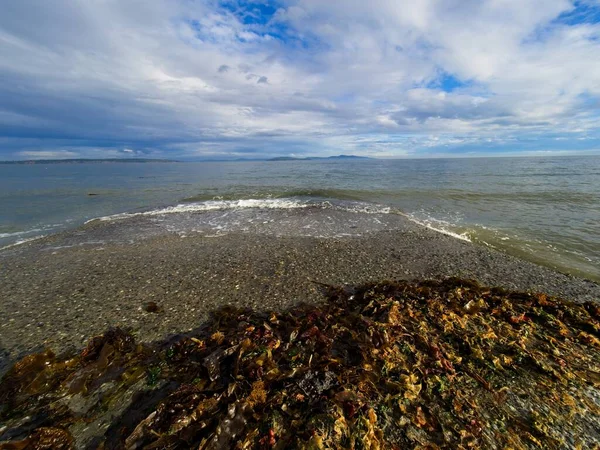 Madera Deriva Rocas Largo Orilla Island View Beach Vancouver Island — Foto de Stock