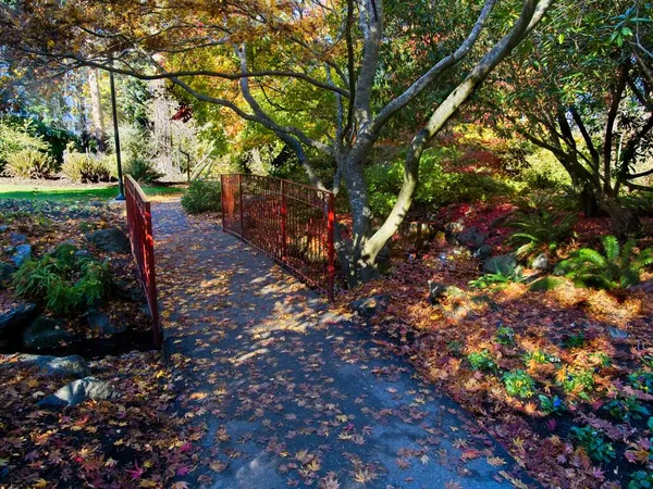 Fall Colors Bridge Beacon Hill Park Victoria — Stock Photo, Image