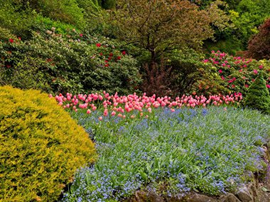 İlkbaharda açan yemyeşil bahçe laleler, çiçek tarlaları ve çimlerle